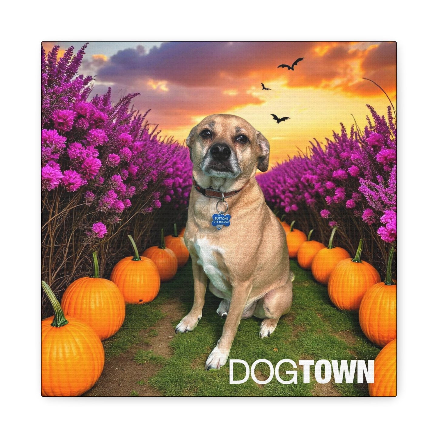 Buttons - Halloween Canvas