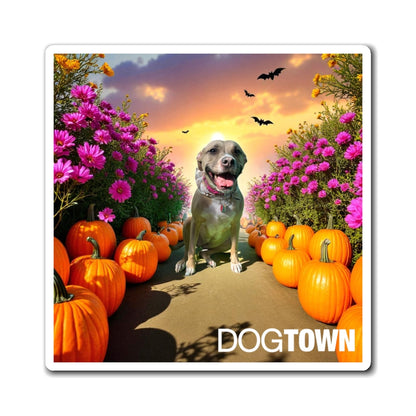 Star - 3x3 Halloween Magnet