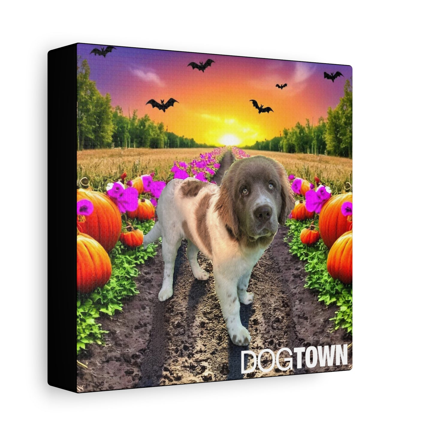 Stella - Halloween Canvas