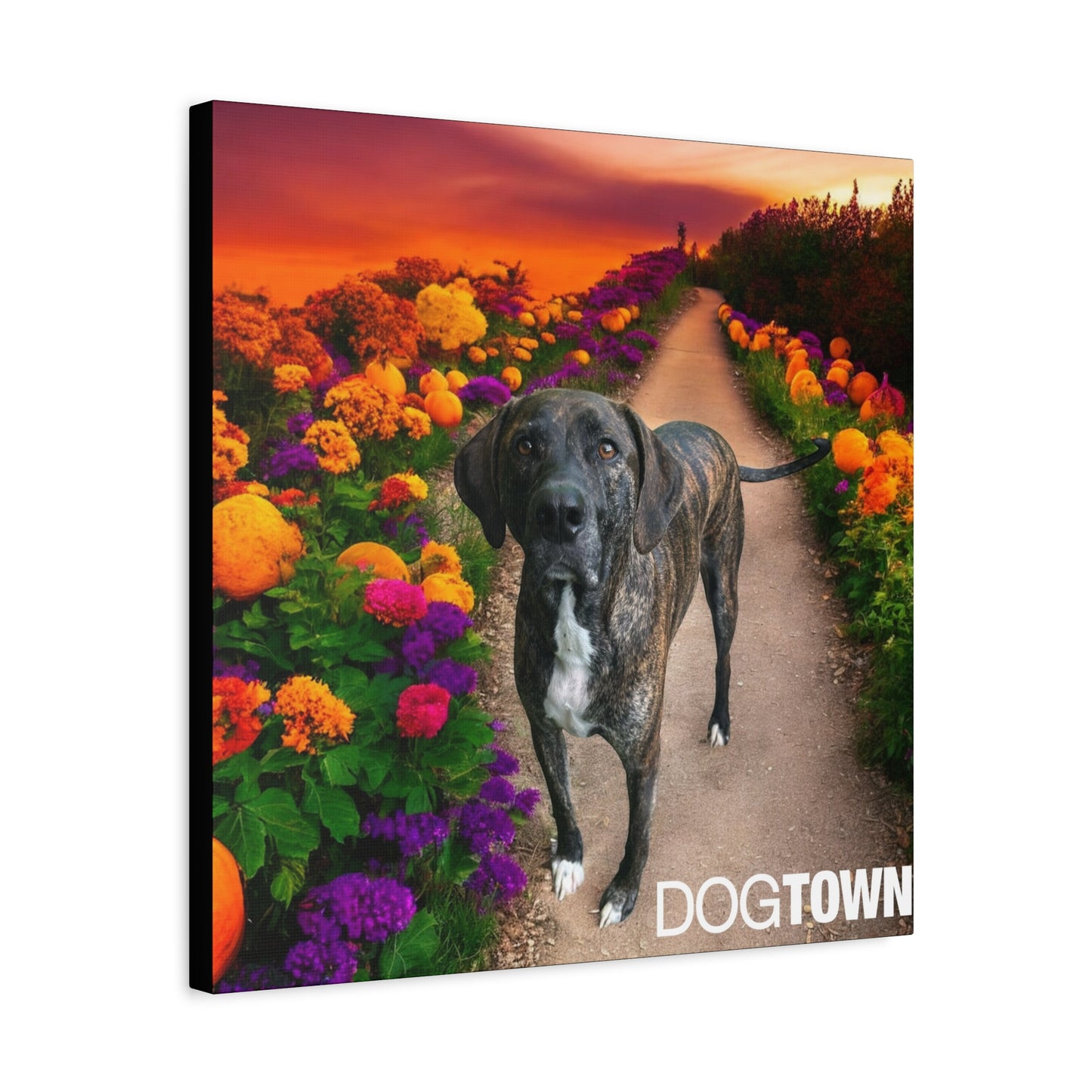 Wynnie - Halloween Canvas