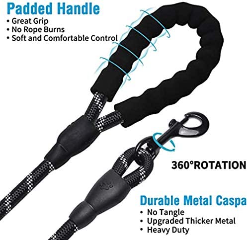 5 FT Thick Highly Reflective Dog Leash- Black