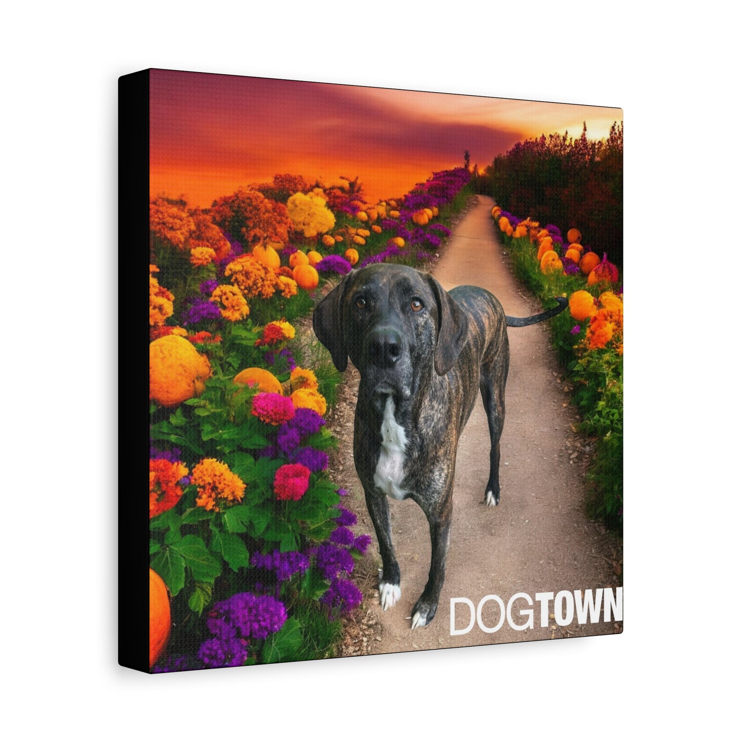 Wynnie - Halloween Canvas