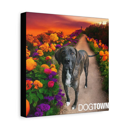 Wynnie - Halloween Canvas