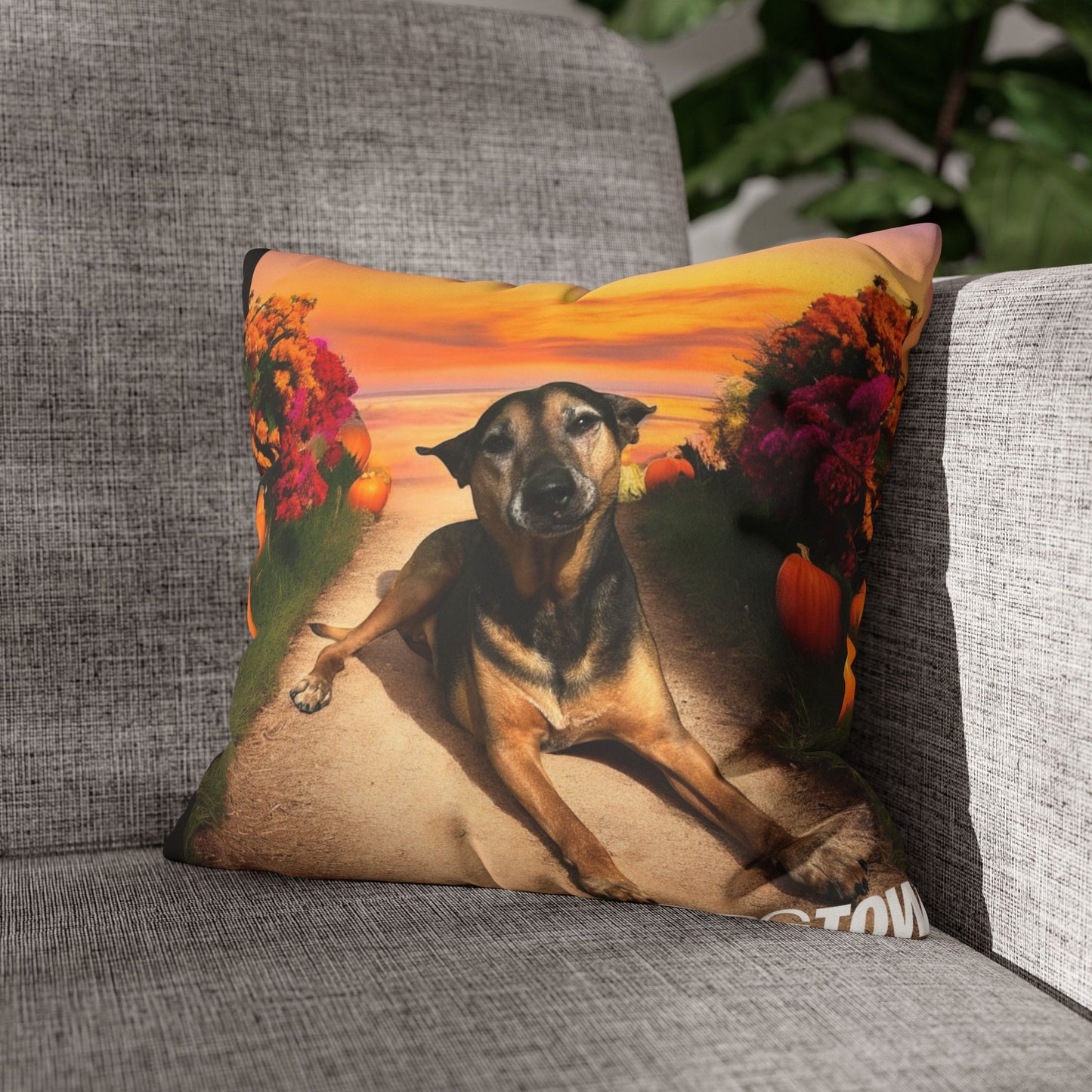 Caius - Halloween Pillowcase