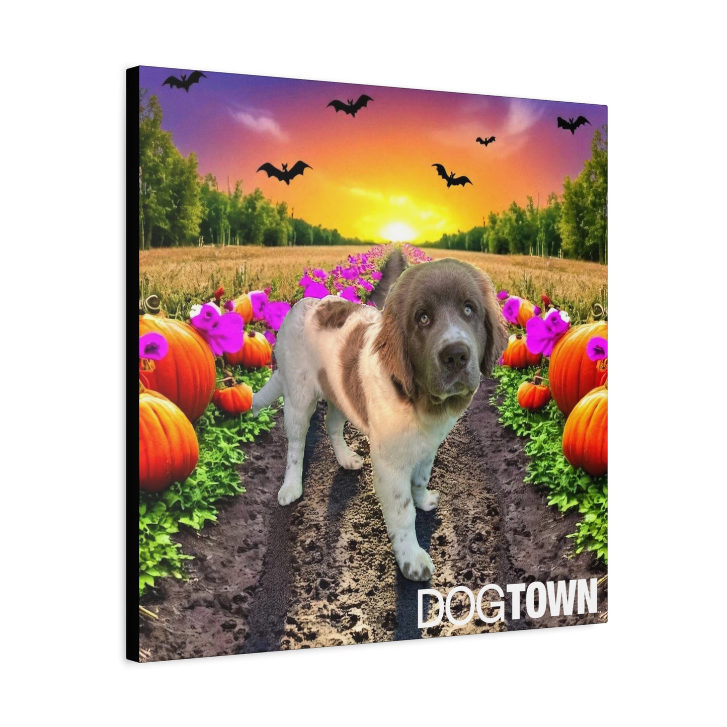 Stella - Halloween Canvas