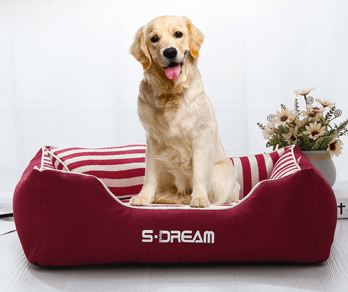 Luxury Washable Pet Bed: Comfort And Style Combined