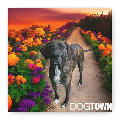 Wynnie - Halloween Canvas