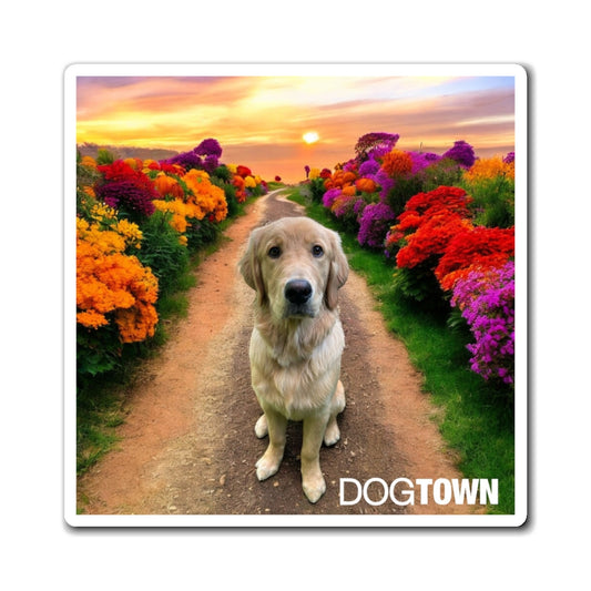 Oliver - 3x3 Halloween Magnet