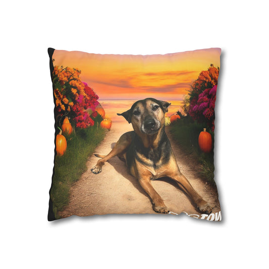 Caius - Halloween Pillowcase
