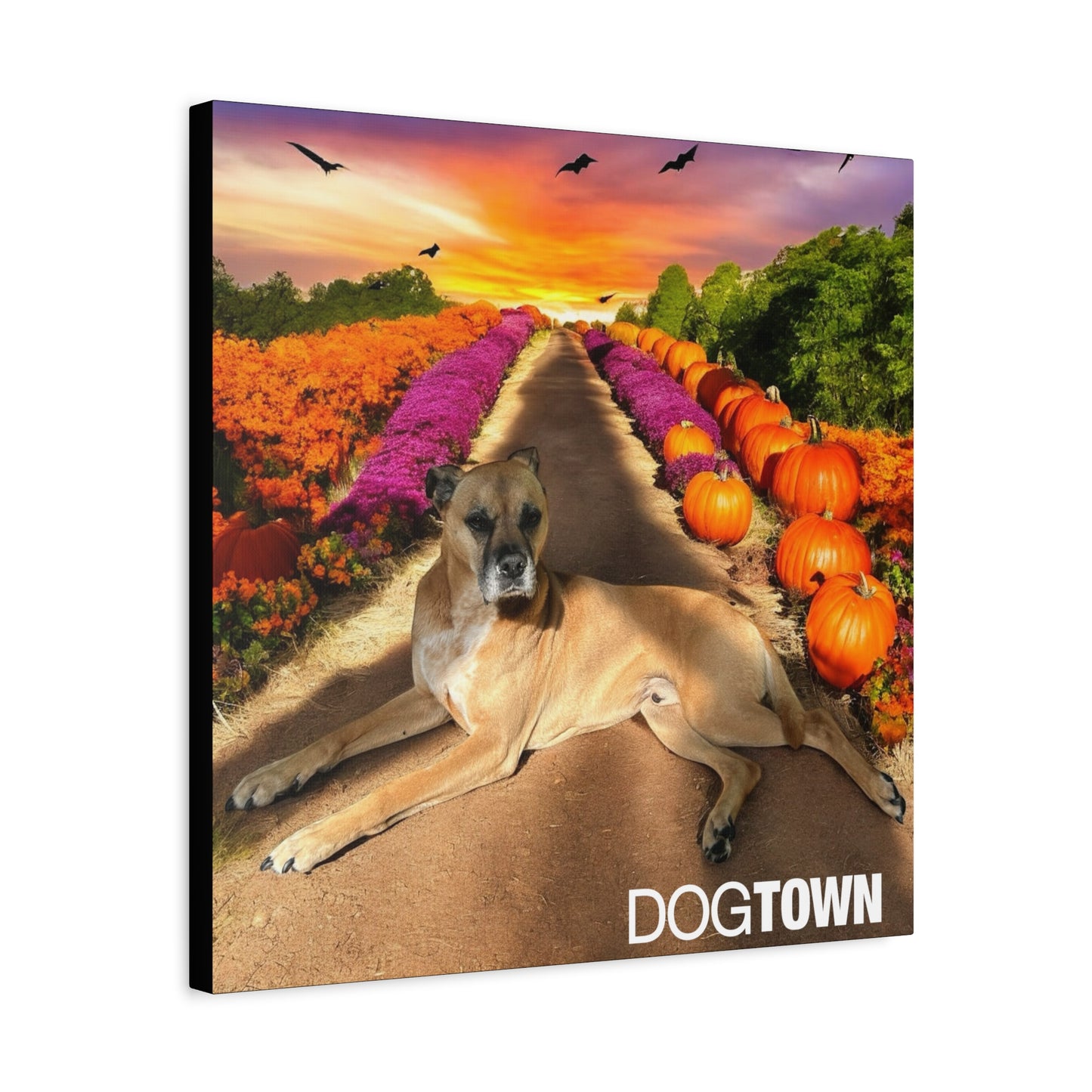 Cooper - Halloween Canvas