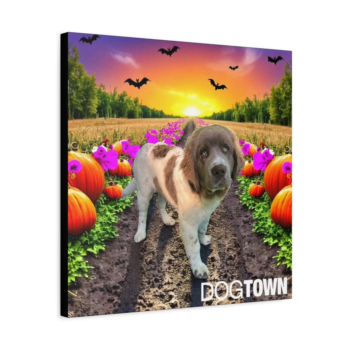 Stella - Halloween Canvas