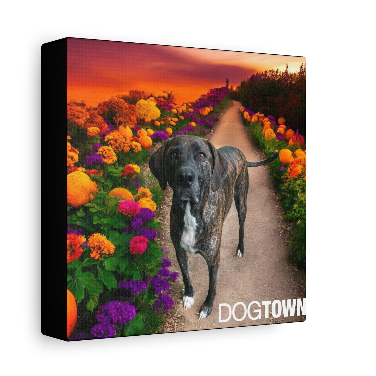 Wynnie - Halloween Canvas