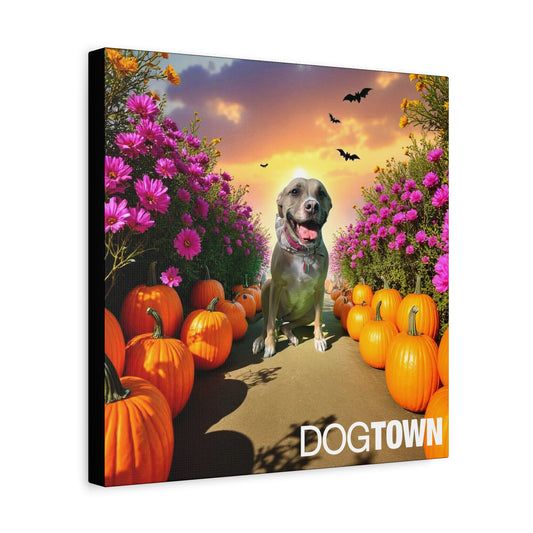 Star - Halloween Canvas