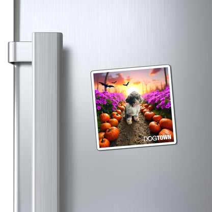 Harry - 3x3 Halloween Magnet