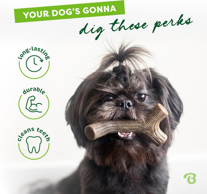 Maplestick Durable Dog Chew Toy, Made in USA