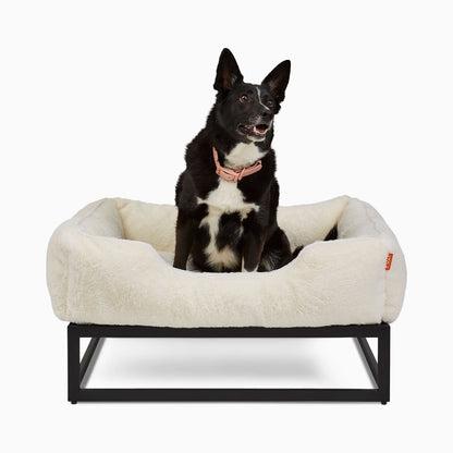 The FÜZI Dog Bed