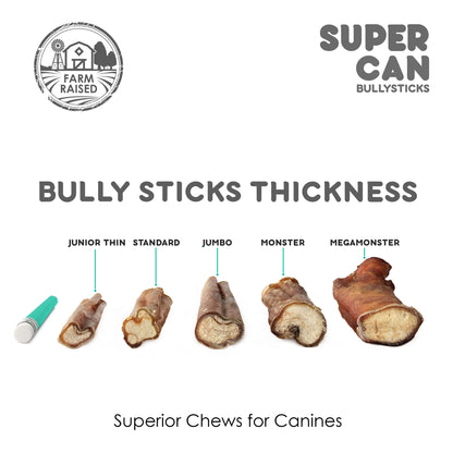 6" Junior Bully Sticks (15-Pack)