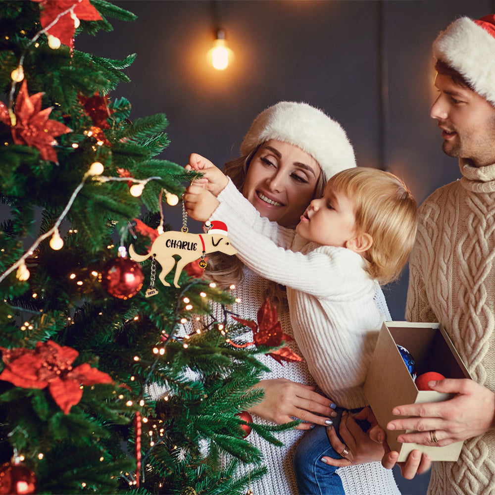 Personalized Funny Pooping Pooches Dog Ornament for Christmas Gifts