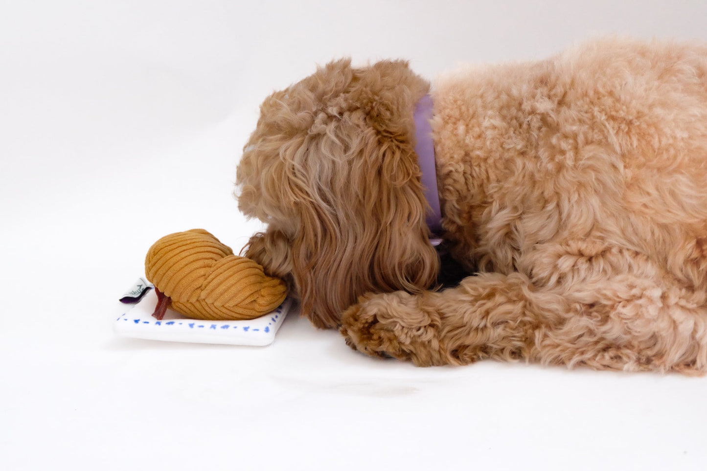 Croissant Nose Work Toy / Enrichment Toy