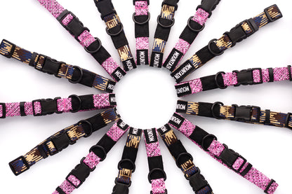 Adventure Style Collar and Leash SET