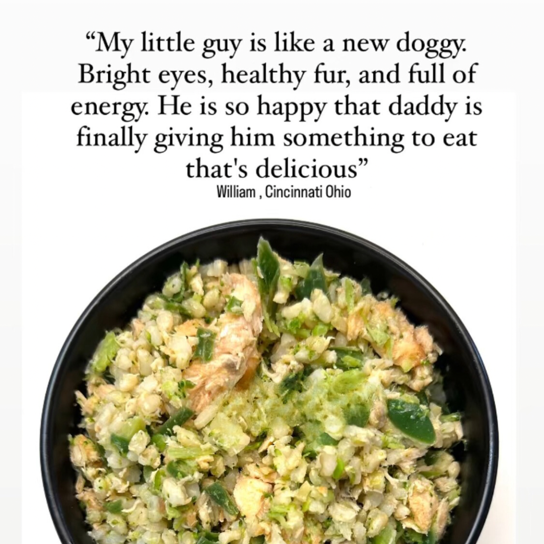 Sensational Salmon - case includes 24, 8oz meals