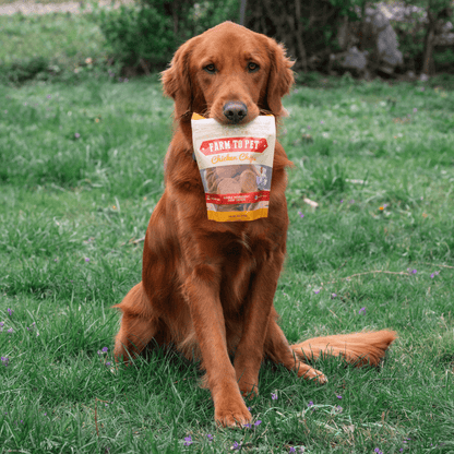 Chicken Chips for Dogs | All-Natural Single-Ingredient Dog Treats