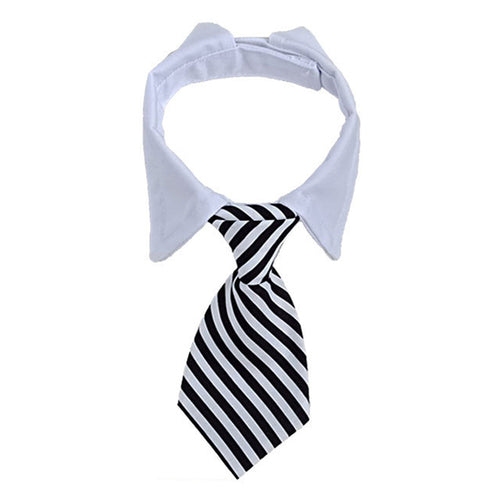 Dog Formal Necktie