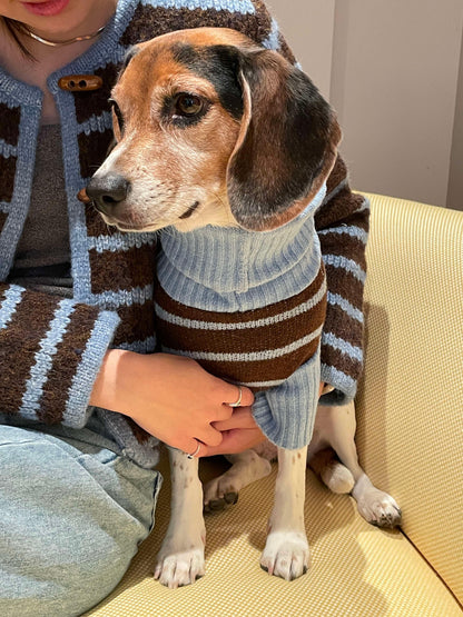 Bluebell Stripes Sweater