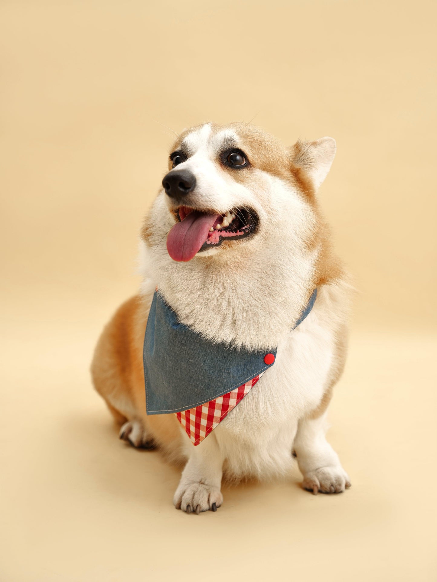 Park Day Denim Gingham Print Handmade Bandana