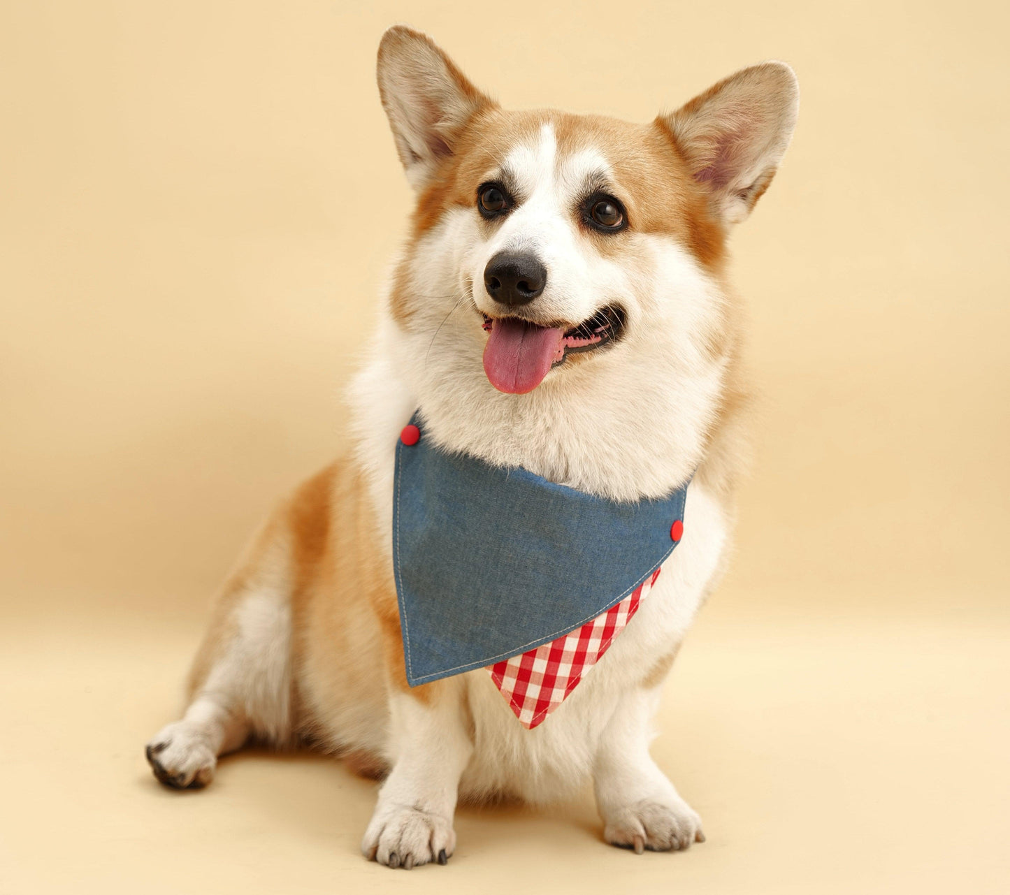 Park Day Denim Gingham Print Handmade Bandana