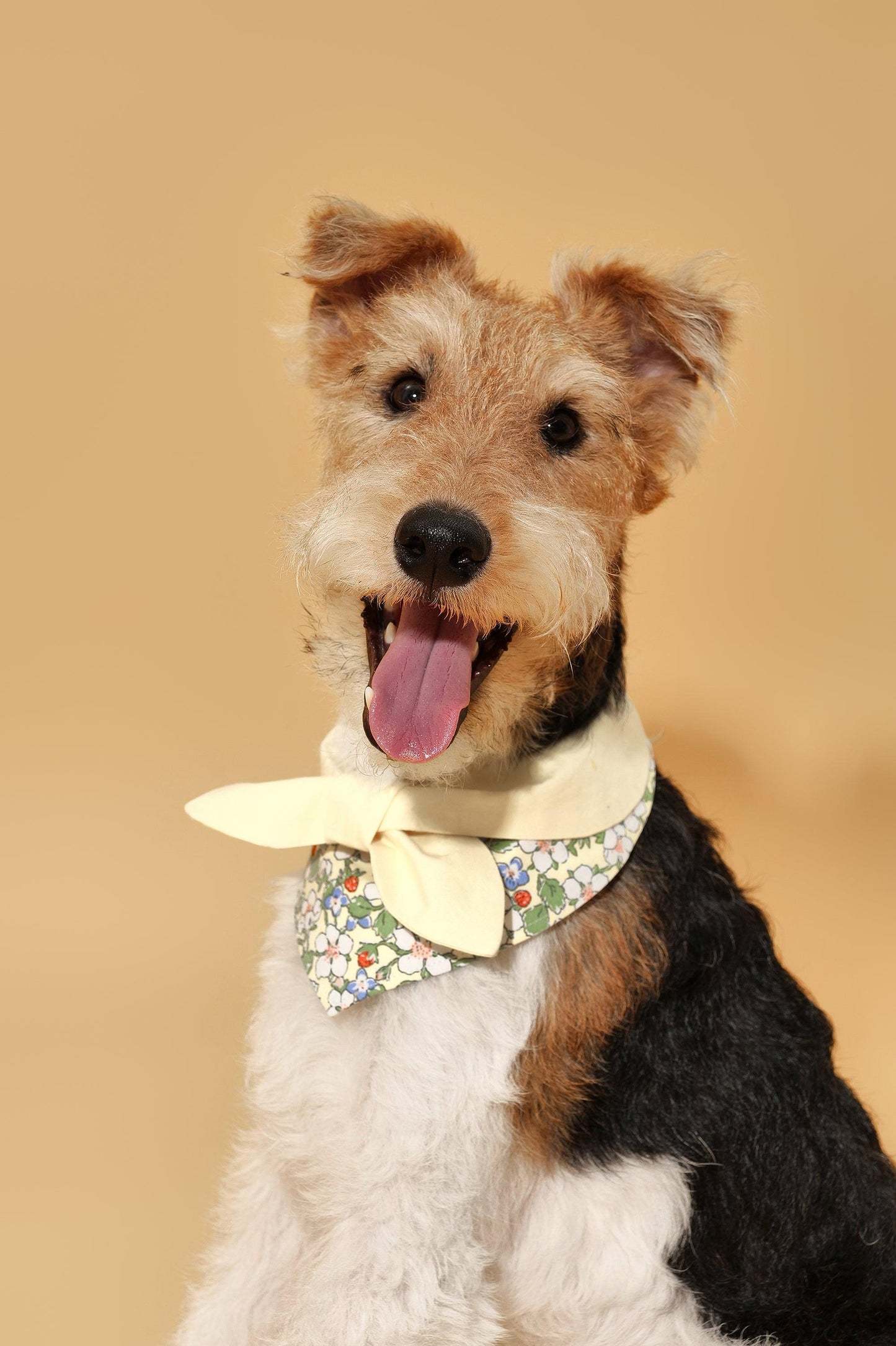 Bowtiful Garden Butter Yellow Floral Bandana