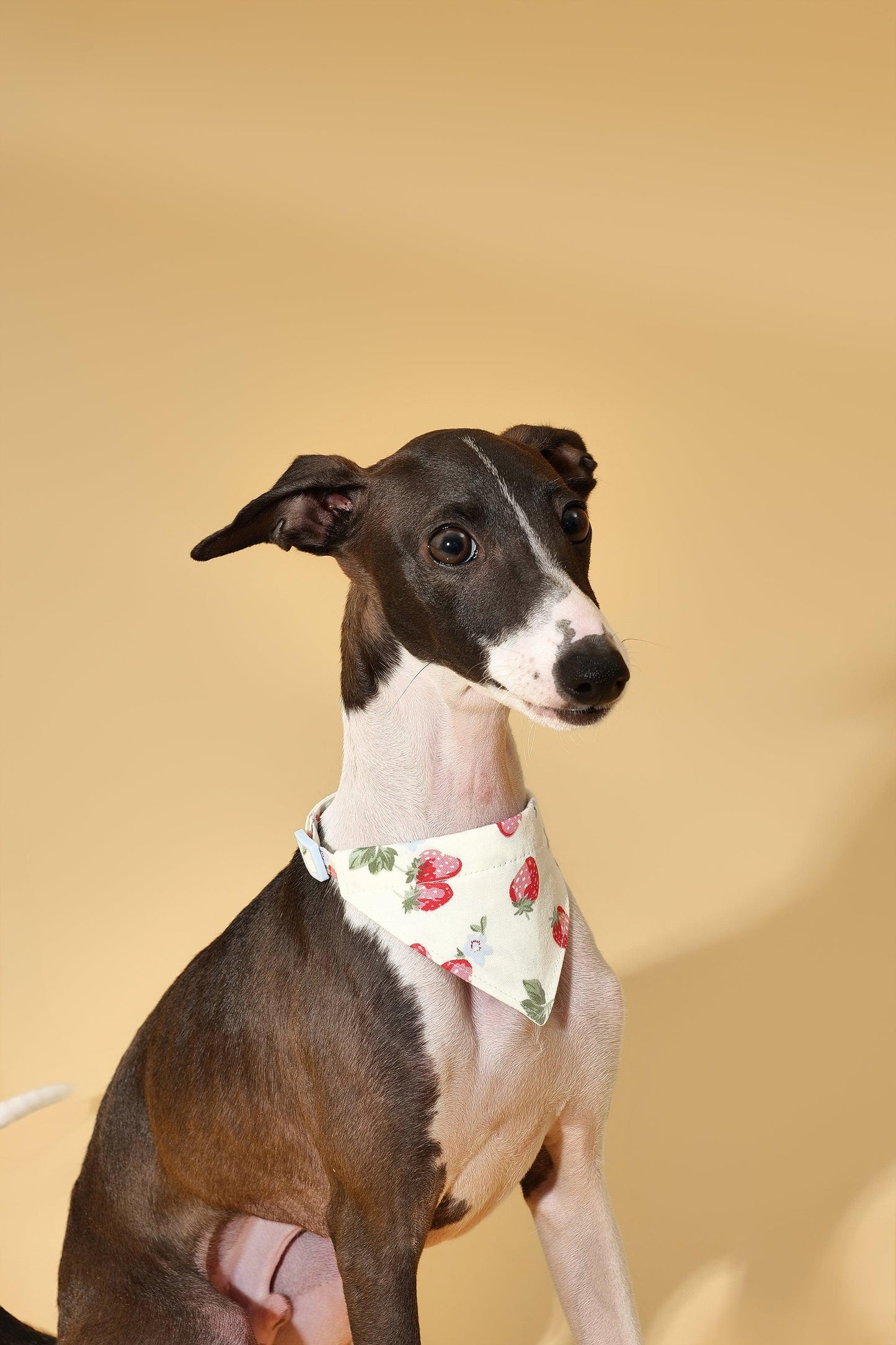 Strawberry Fields Butter Yellow Triangle Bandana