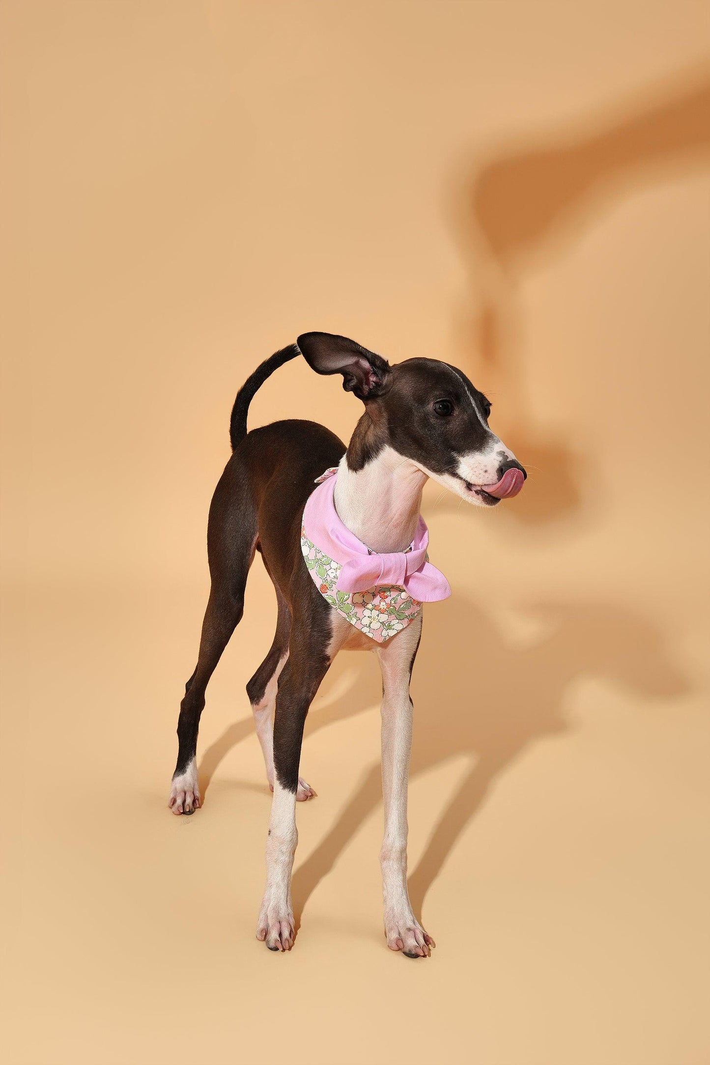 Bowtiful Garden Pink Floral Bandana