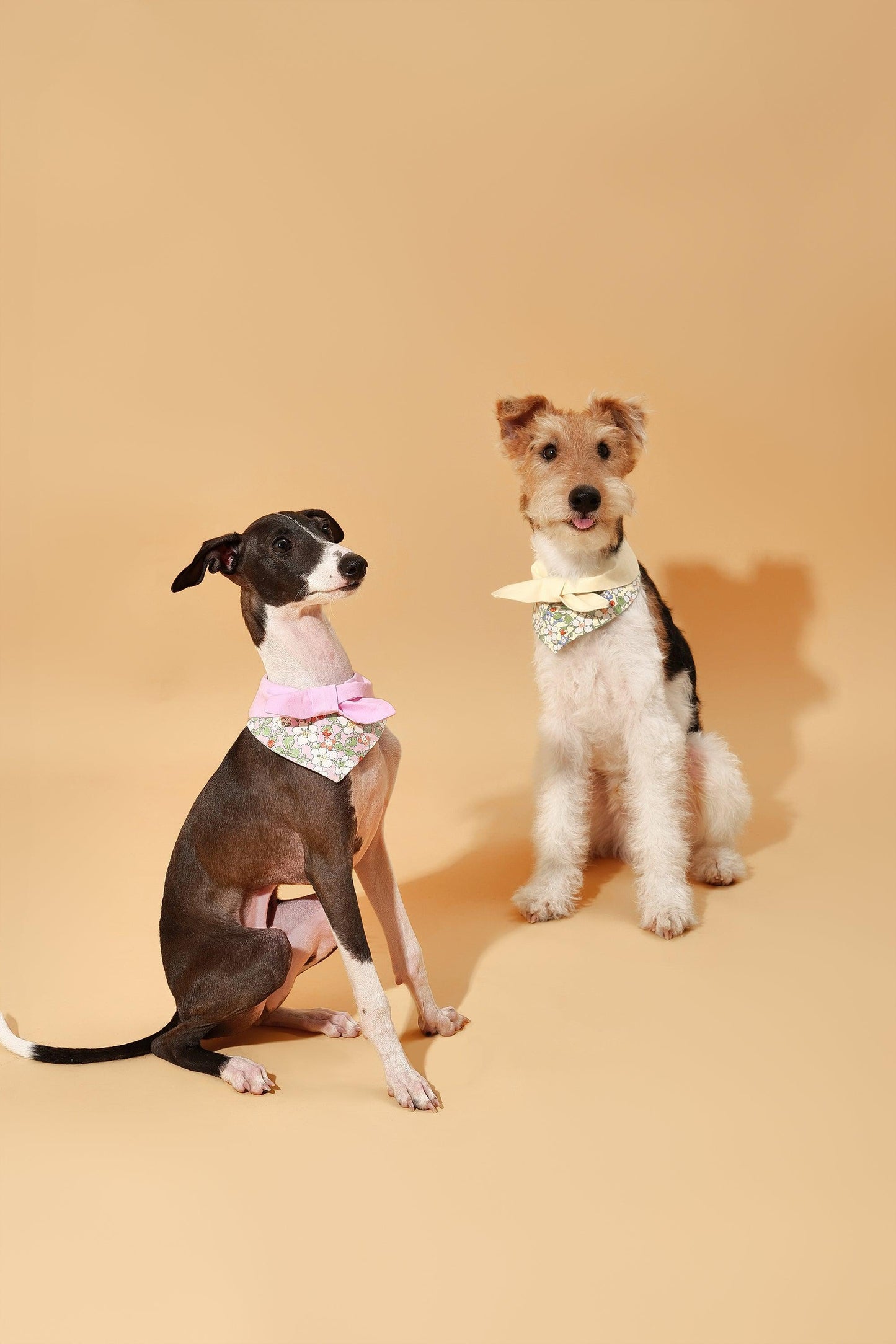 Bowtiful Garden Pink Floral Bandana