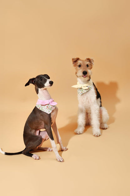 Bowtiful Garden Butter Yellow Floral Bandana