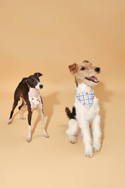 Strawberry Fields Butter Yellow Triangle Bandana