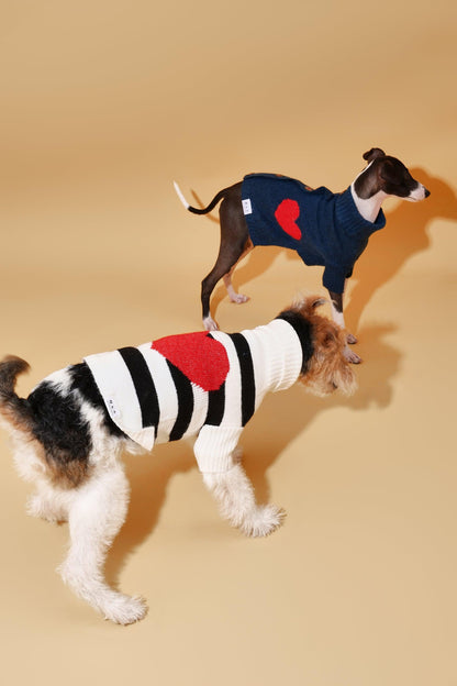 Sailor of My Heart Striped Turtleneck Sweater