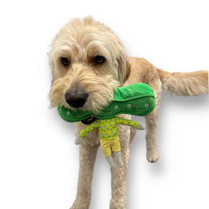Pea Nose Work Dog Toy