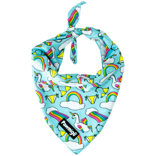 Pool Pawty Bandana