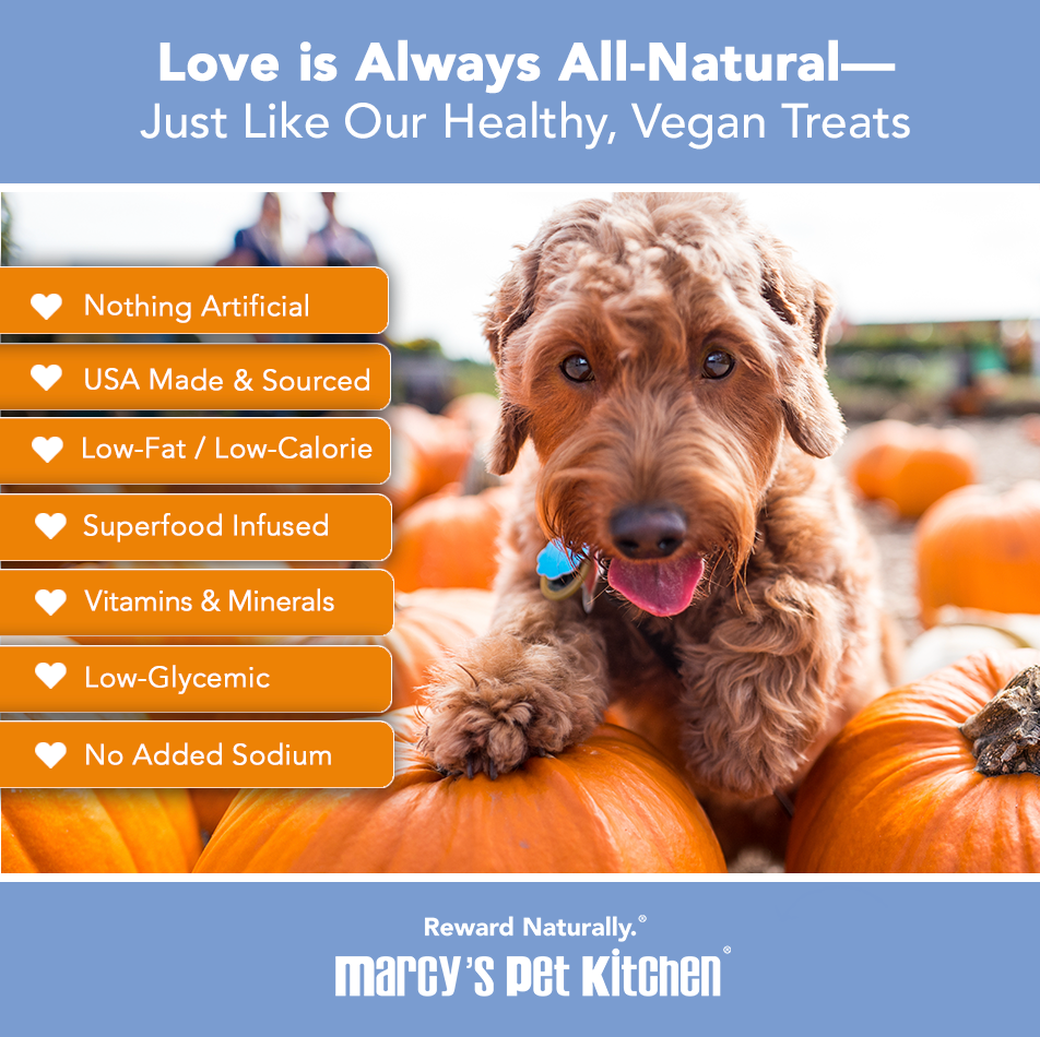 Marcy's Pet Kitchen® - 'On-The-Go' All-Natural, Vegan Pumpkin Biscuit 1oz