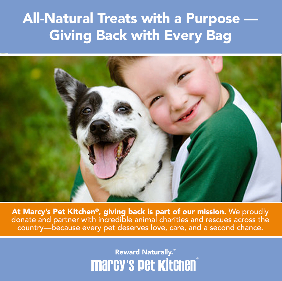 Marcy's Pet Kitchen® - 'On-The-Go' All-Natural, Vegan Pumpkin Biscuit 1oz