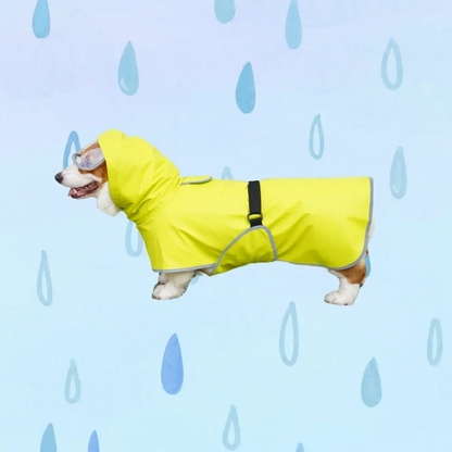 Dog Raincoat