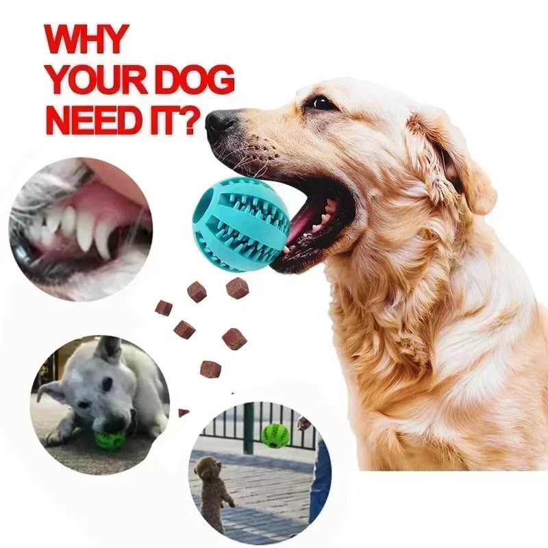 Durable Elastic Chew Ball for Dogs - Interactive Dental Toy Soft