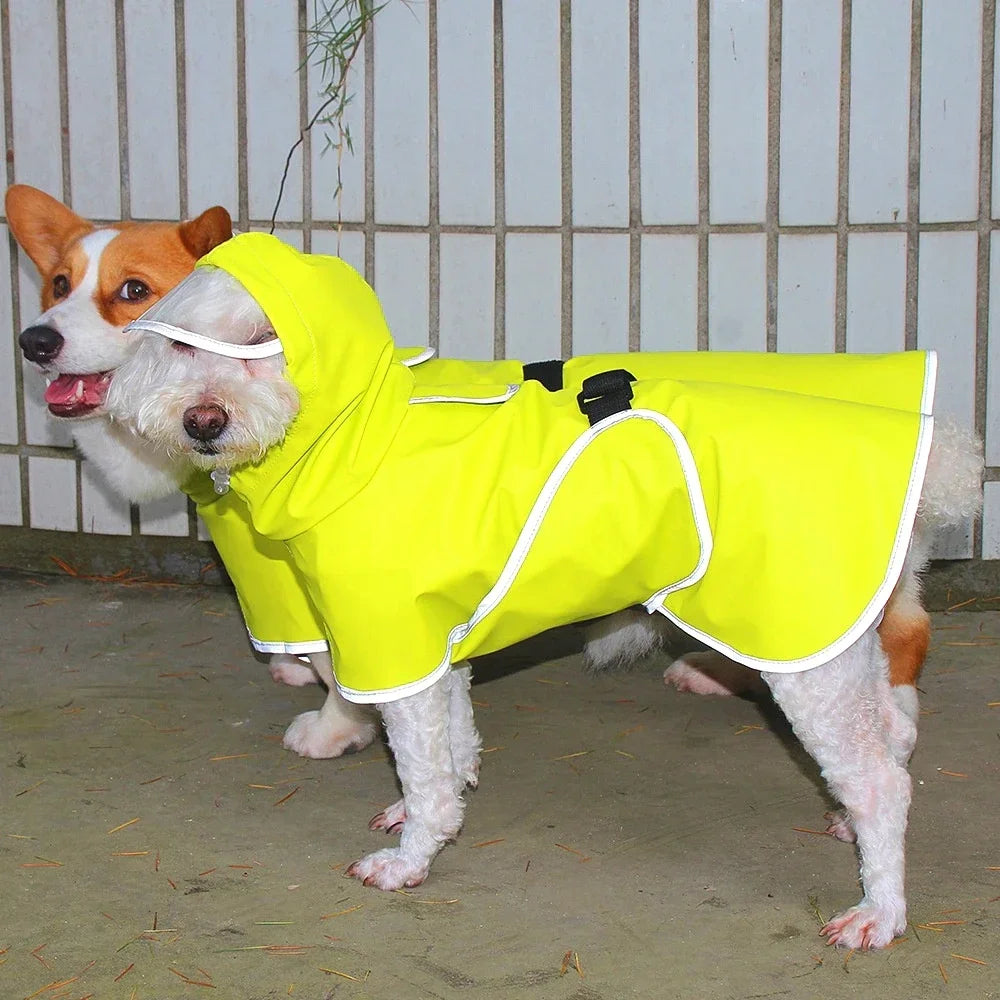 Dog Raincoat