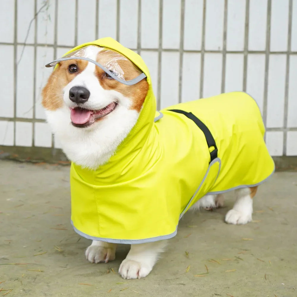 Dog Raincoat