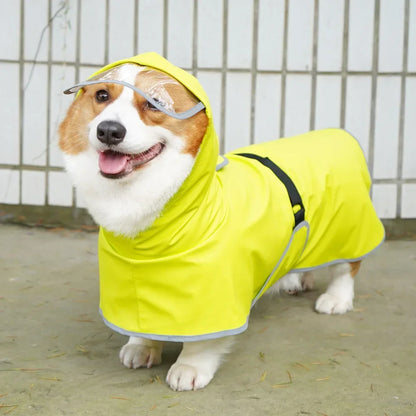 Dog Raincoat