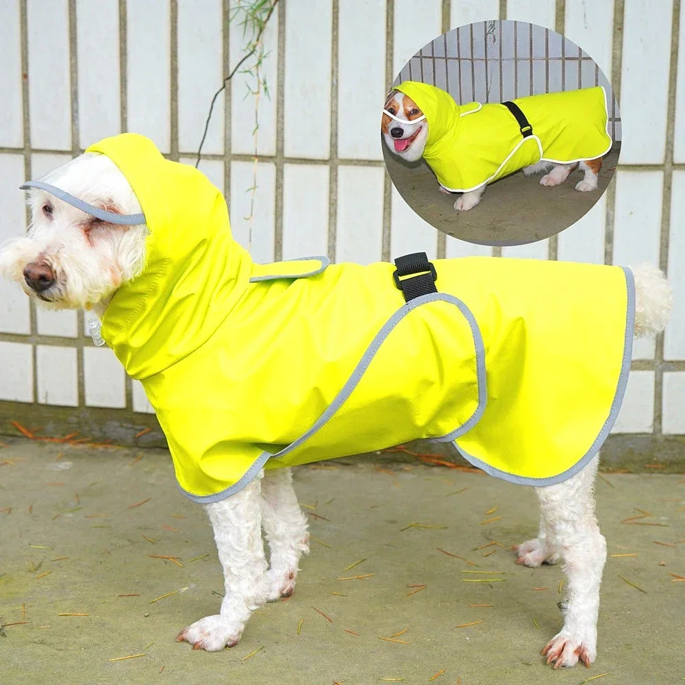 Dog Raincoat