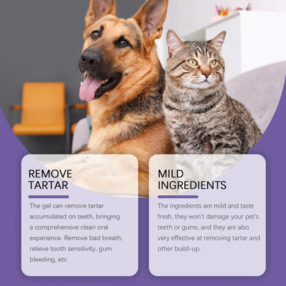 12pcs Pet Toothbrush Pen Dental Stain Cleaning Tartar Remover