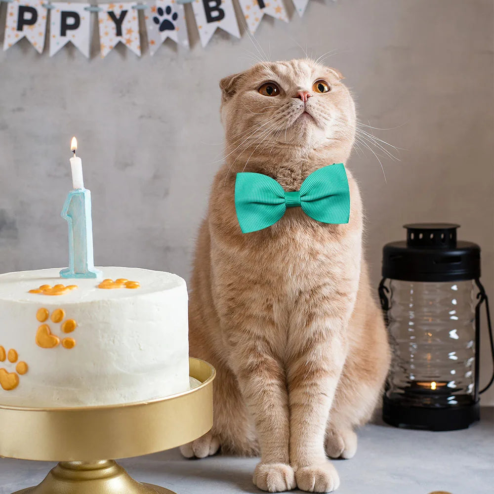 Solid Bowties for Dogs 10 pieces