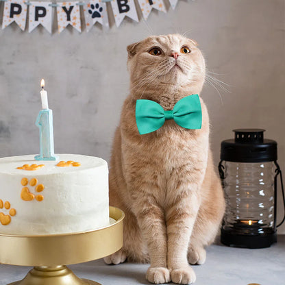 Solid Bowties for Dogs 10 pieces